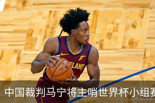 中国裁判马宁将主哨世界杯小组赛第二轮比赛