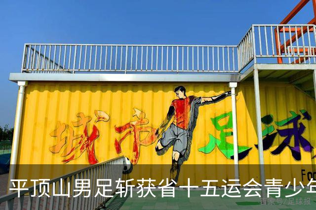 平顶山男足斩获省十五运会青少年竞技组足球（乙组）季军创历史最佳战绩