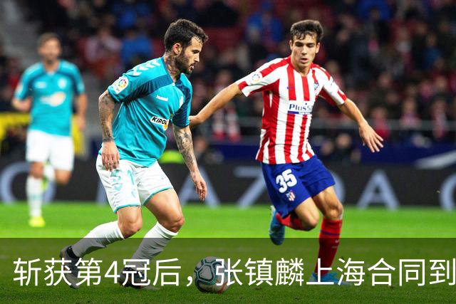 斩获第4冠后，张镇麟上海合同到期，下家3选1，去哪或看一人脸色