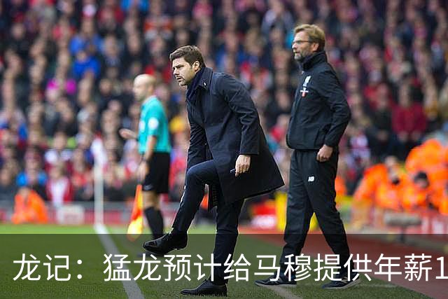 龙记：猛龙预计给马穆提供年薪1000万合同 但别队有可能出价更高